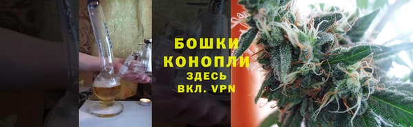 дживик Заводоуковск
