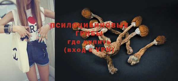дживик Заводоуковск