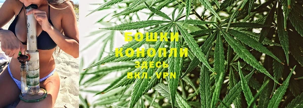 тгк Заволжск