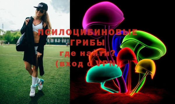 дживик Заводоуковск