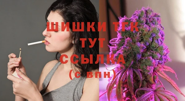 дживик Заводоуковск