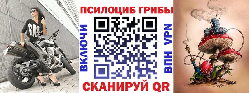 Галлюциногенные грибы Psilocybe Каргат
